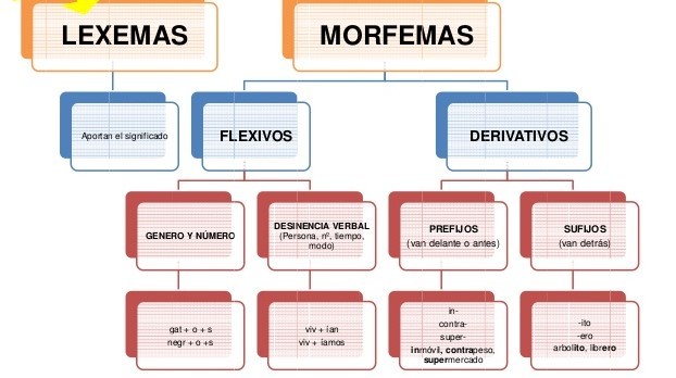 límites y continuidad - Grado 5 - Quizizz