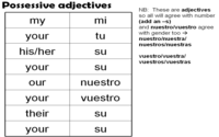 Possessive Pronouns - Class 9 - Quizizz