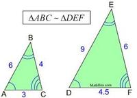 สามเหลี่ยมเท่ากันทุกประการ sss sas และ asa - ระดับชั้น 12 - Quizizz