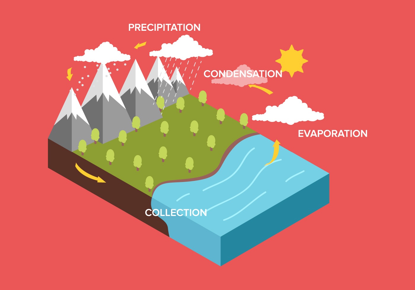 water-cycle-reading-quiz-quizizz