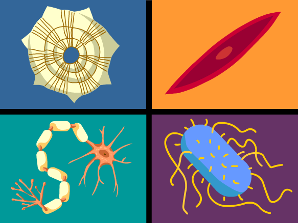 brainpop-cells-science-quiz-quizizz