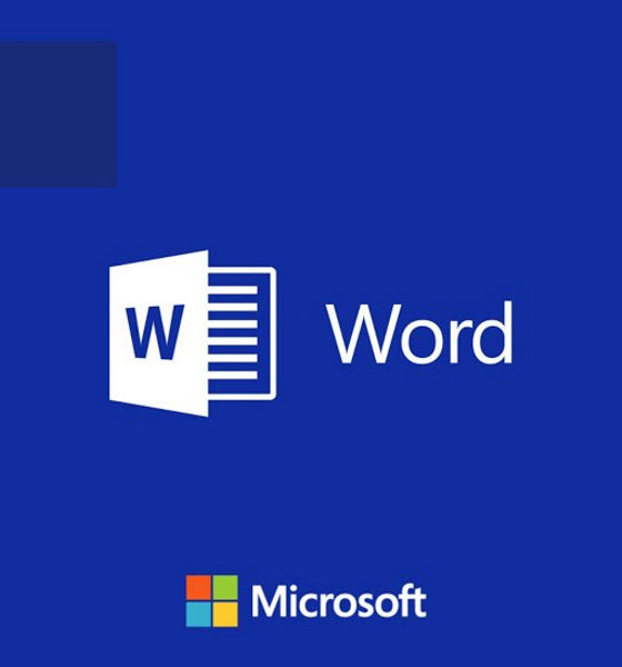 Microsoft Word | Quizizz