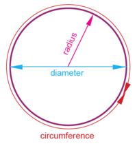 Finding the Radius and Diameter of Circles Quiz - Quizizz