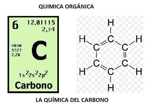 Biología - Grado 5 - Quizizz