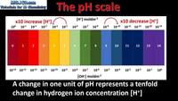 acid base reactions - Class 12 - Quizizz