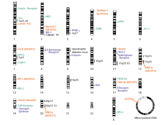 DNA Data questions & answers for quizzes and tests - Quizizz