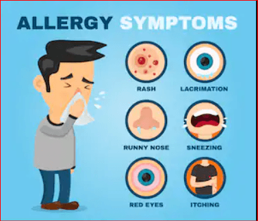 Allergy | Biology - Quizizz