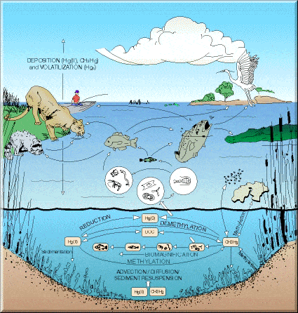 Relationships In Ecosystems 3 Science Quiz Quizizz   E45a22f0 5eff 41f2 Ab34 05dbe8da00ce