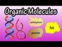 Biomolecules, Nutrition, and Enzymes Quiz Review