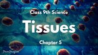 tissues - Class 10 - Quizizz