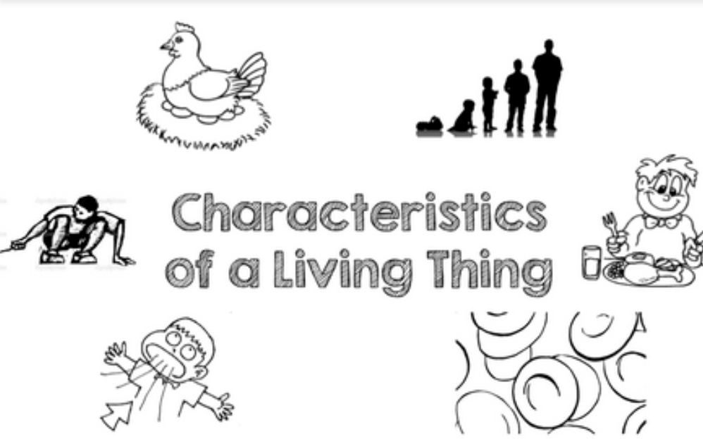 6-characteristics-of-a-living-thing-biology-quiz-quizizz