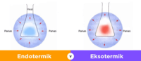 proses endotermik dan eksotermik - Kelas 9 - Kuis