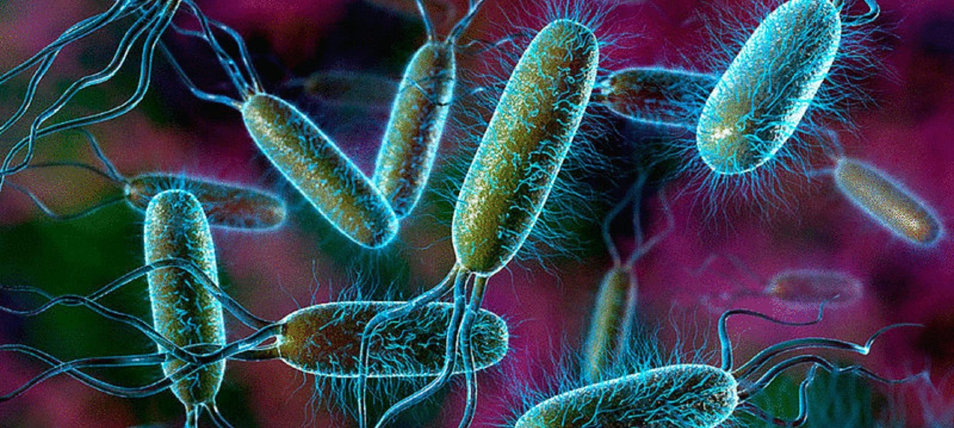 Microbeasts and Disease | Biology Quiz - Quizizz