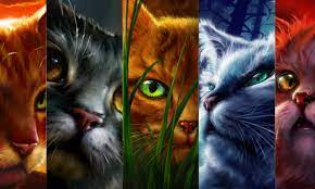 Warrior Cats Scourge Quizzes