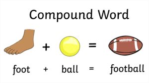 Structure of Compound Words - Year 1 - Quizizz