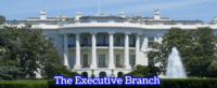the executive branch - Year 8 - Quizizz