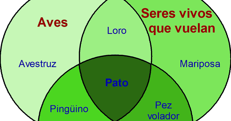 Frações como partes de um conjunto - Série 12 - Questionário