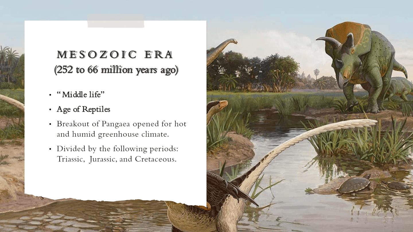 The Geological Time Scale questions & answers for quizzes and tests ...