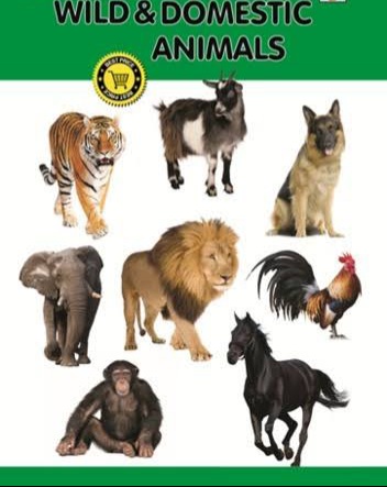 Animals Flashcards - Quizizz