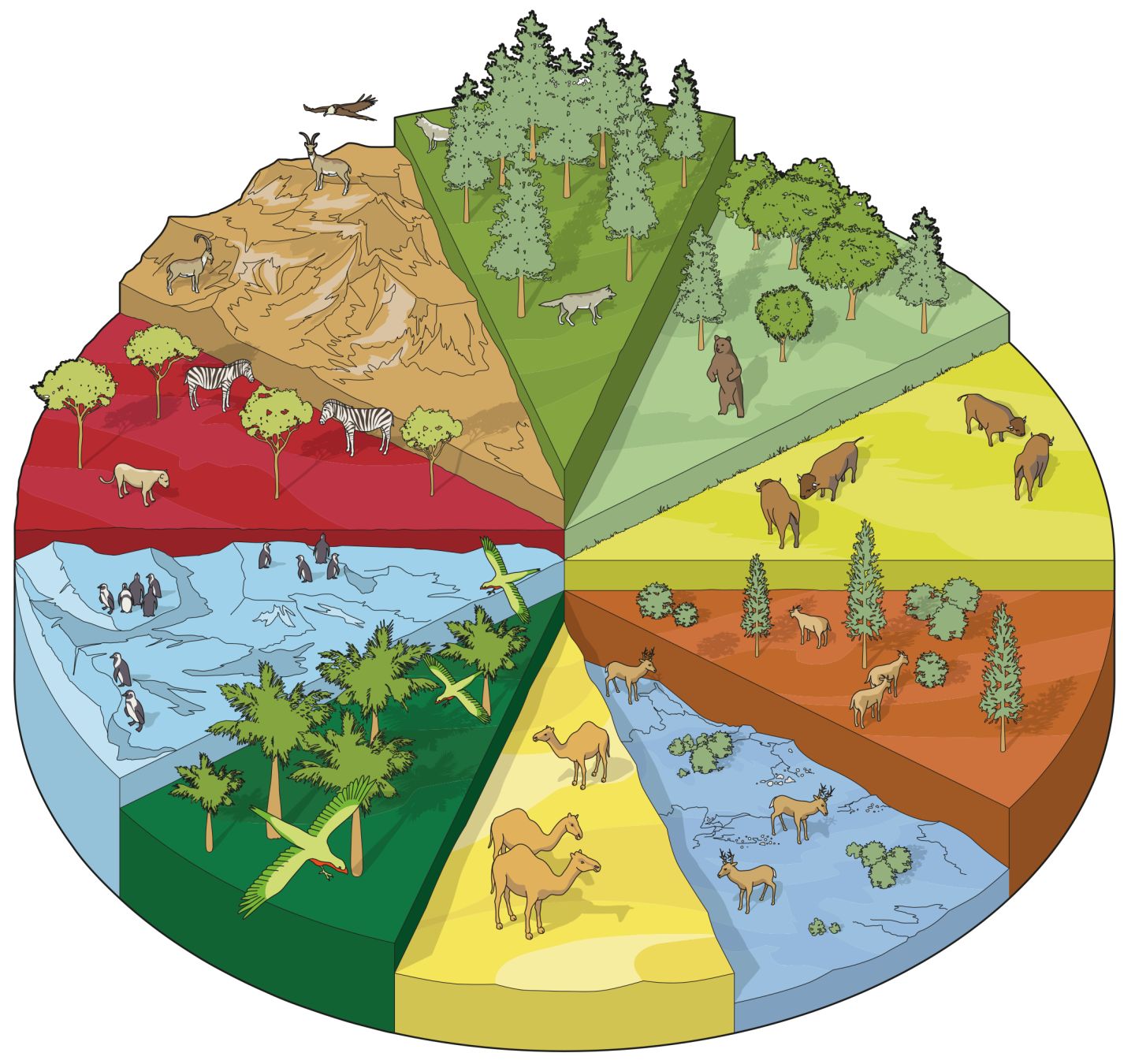 Habitats English Quizizz