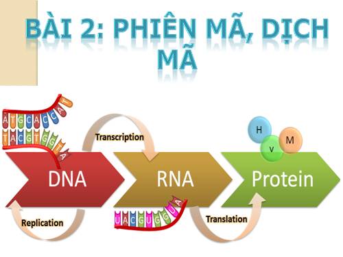 Cộng hòa La Mã - Lớp 12 - Quizizz