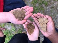 soils - Class 1 - Quizizz