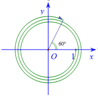 5 giác quan - Lớp 11 - Quizizz