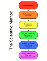 30+ Put The Steps Of The Scientific Method In Order From First To Last Images