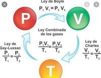 estequiometria - Grado 4 - Quizizz