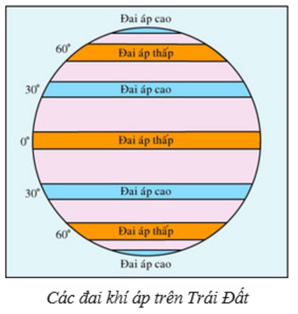 Đại từ tương đối - Lớp 10 - Quizizz