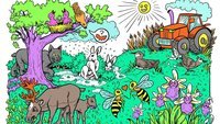 Plantas, animales y la tierra. - Grado 3 - Quizizz