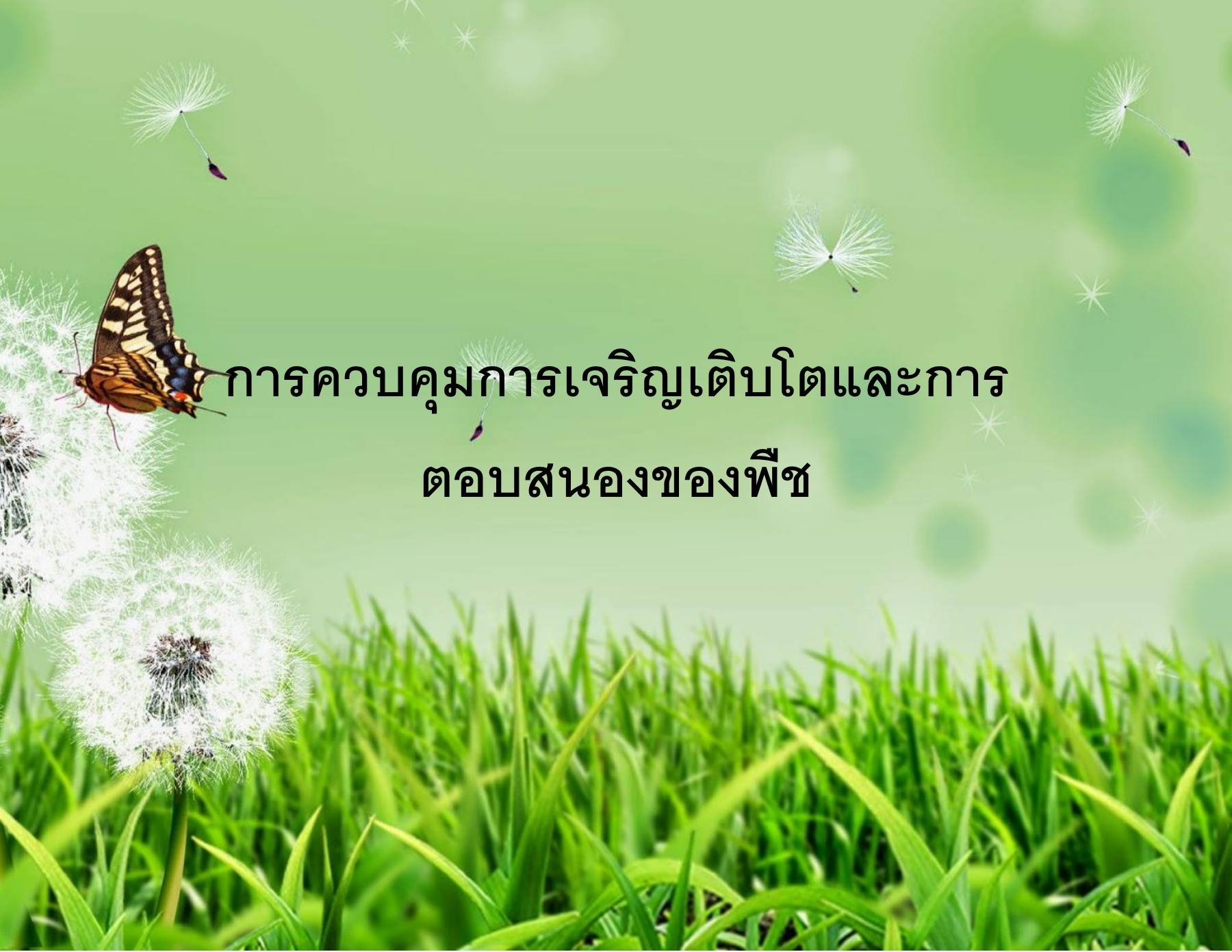 ความรู้สึกจำนวน - ระดับชั้น 2 - Quizizz