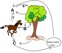 ekosistem - Kelas 2 - Kuis