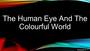 The Human Eye and the Colourful World
