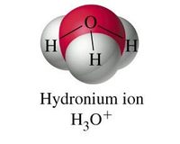 acid base reactions - Year 12 - Quizizz