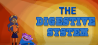 the digestive and excretory systems - Year 5 - Quizizz