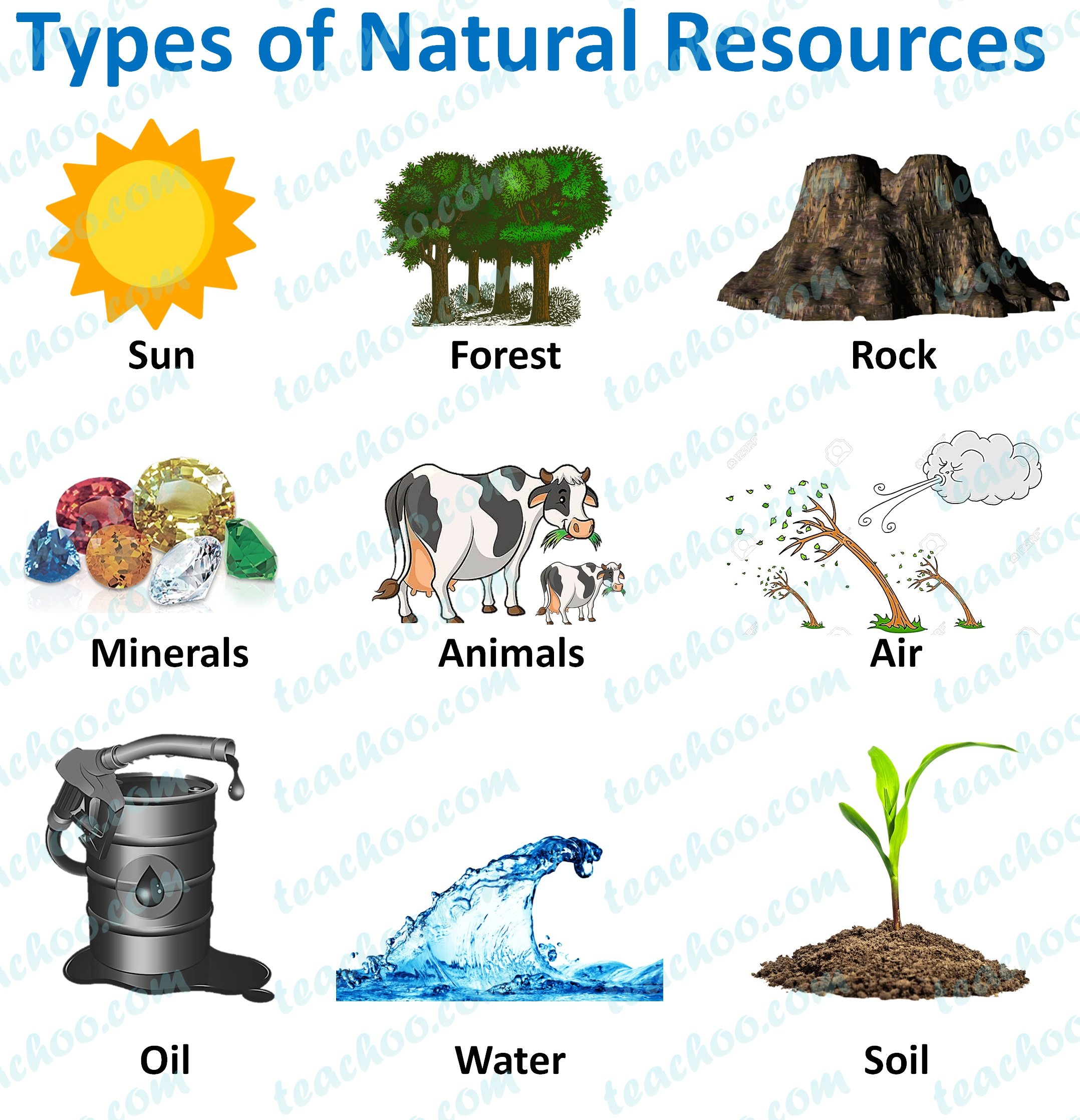 natural resources examples list        <h3 class=