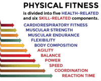 Components Of Fitness Fitness Quizizz