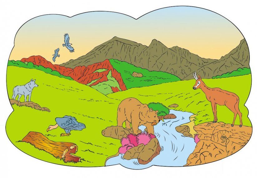 dibujo del ecosistema terrestre