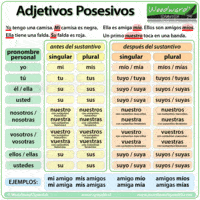 Posesivos singulares - Grado 10 - Quizizz