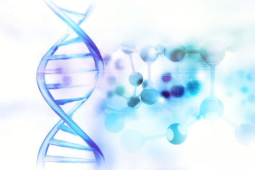 estrutura e replicação do DNA - Série 11 - Questionário