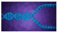 regulación genética Tarjetas didácticas - Quizizz