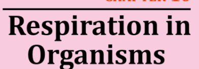 Respiration in organisims