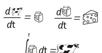 derivados - Grado 7 - Quizizz