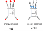 endothermic and exothermic processes - Year 6 - Quizizz