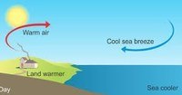 heat transfer and thermal equilibrium - Class 7 - Quizizz