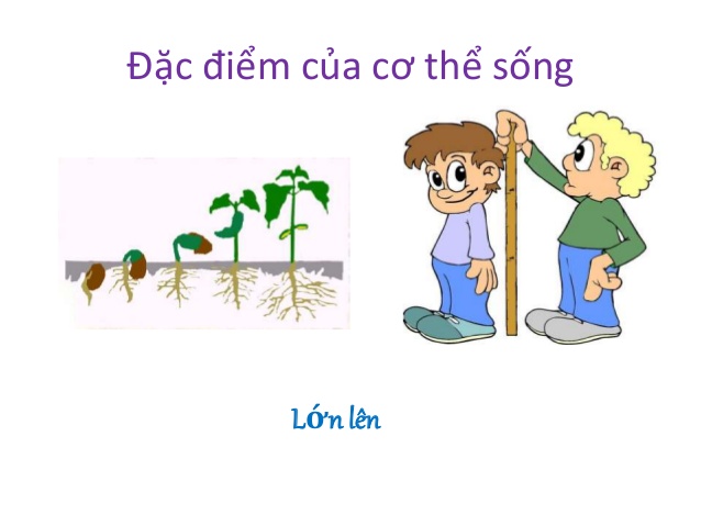 sự thích nghi của động vật - Lớp 6 - Quizizz