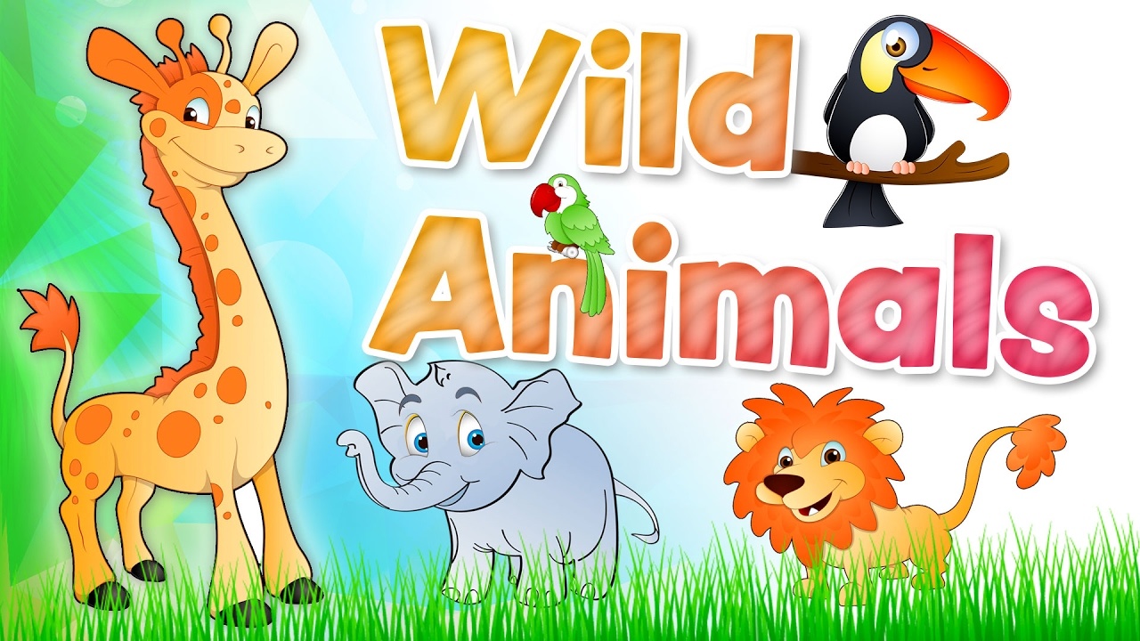 Wild animals Vocabulary Quiz Quizizz