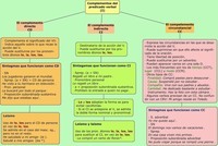 Reconocer sílabas - Grado 6 - Quizizz