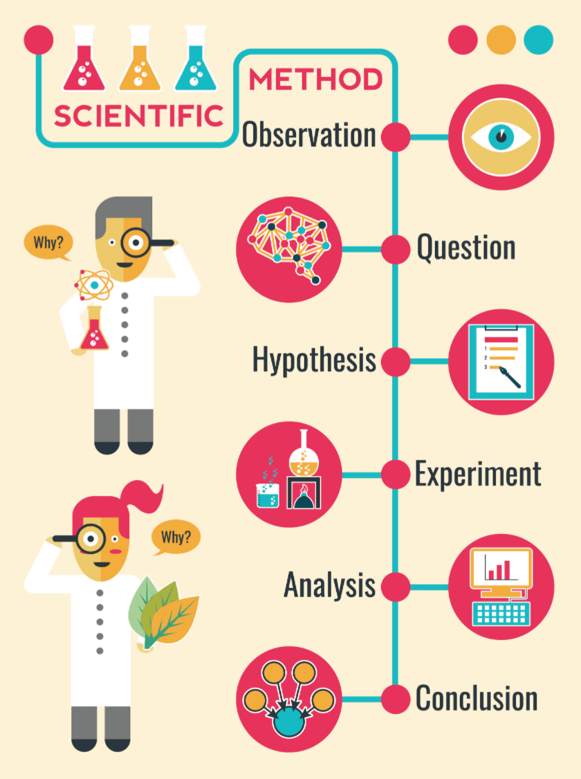 scientific-methods-science-quizizz